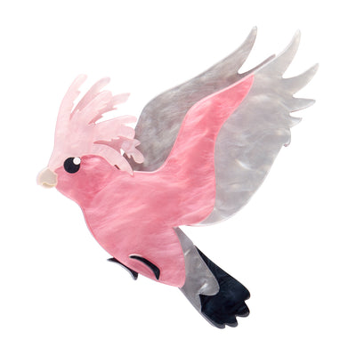 Gertie the Galah resin brooch by Erstwilder from their 2025 Australiana collection. Stocked at Zebra Finch Style in Newcastle, NSW