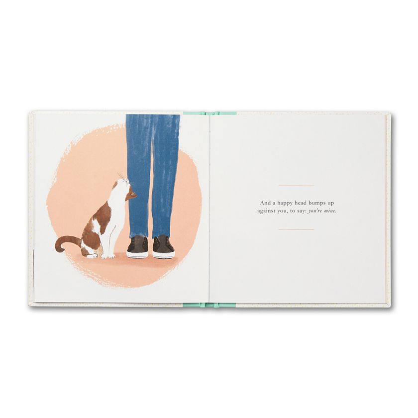 When You Love A Cat - a quote book by Compendium