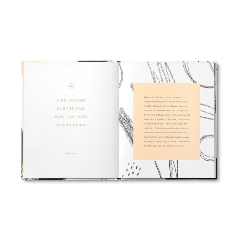 Compendium Beautiful Thoughts Quote Book 