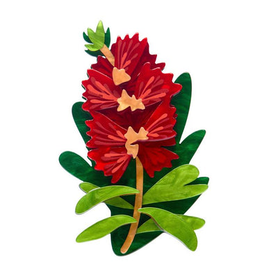 Crimson bottlebrush resin brooch by Erstwilder from their 2025 Australiana collection. Stocked at Zebra Finch Style in Newcastle, NSW