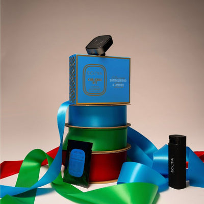 Car Care Kit Holiday Collection