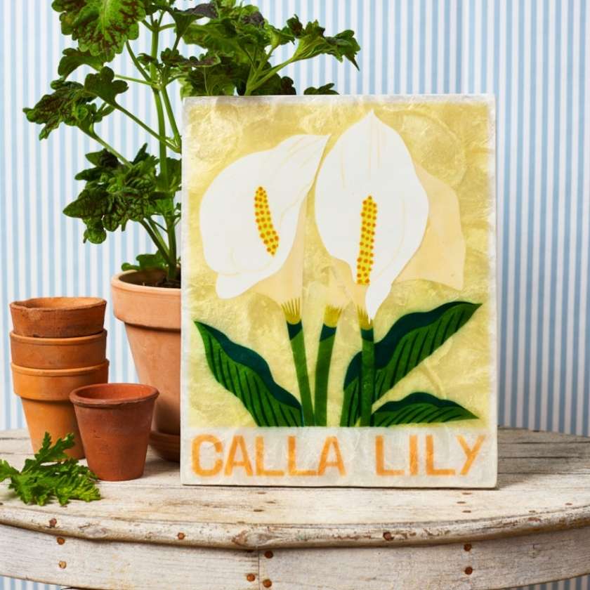 Jones and Co Market Wall Art Lily | Zebra Finch Style
