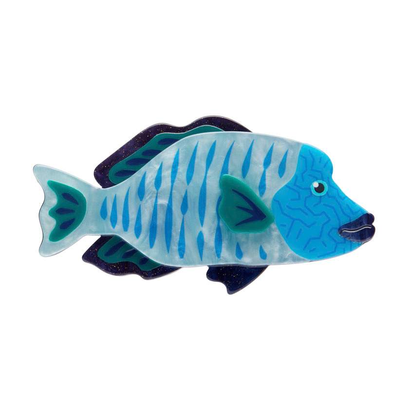 Maori Wrasse Brooch by Erstwilder from their 2025 Great Barrier Reef collection