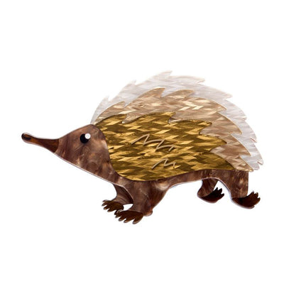 Resin brooch of Prickles the Echnida - by Erstwilder from their 2025 Australiana collection. Stocked at Zebra Finch Style in Newcastle, NSW