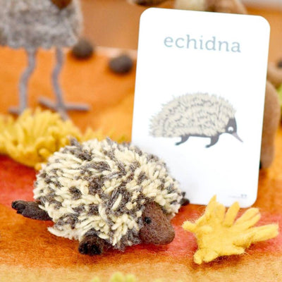 Plush toy echidna with educational card labeled 'echidna' on an orange background