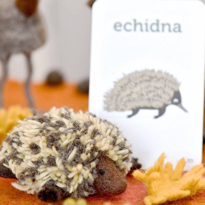 Echidna toy with a book about echidnas on a wooden surface