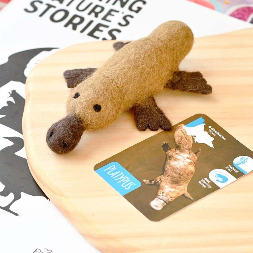 Plush toy platypus on a wooden board with an educational card about platypuses.