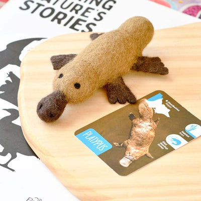 Plush toy platypus on a wooden board with an educational card about platypuses.