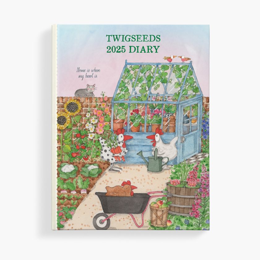 2025 Twigseeds Diary by Affirmations