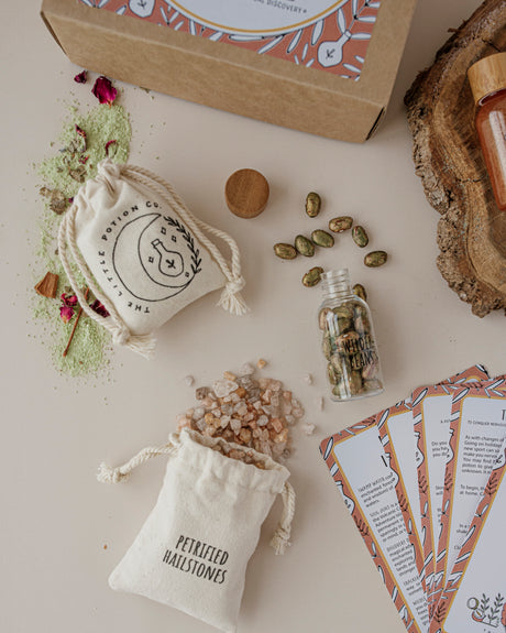 Wild Adventure Potion Kit by The Little Potion Co