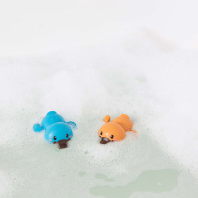 Platypus bath racers by Tiger Tribe