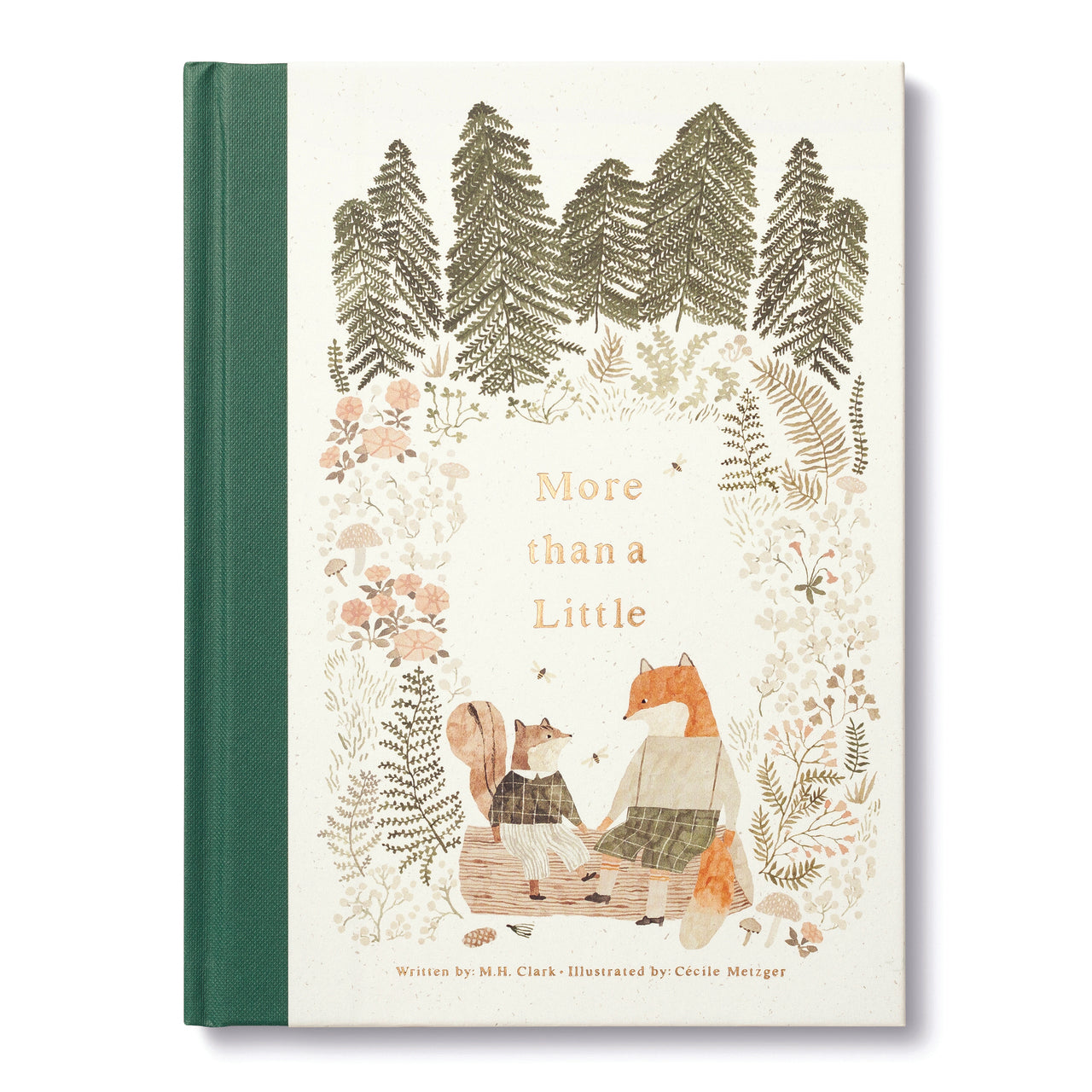 More Than A Little Book Front cover with a fox and squirrel sitting in a forest