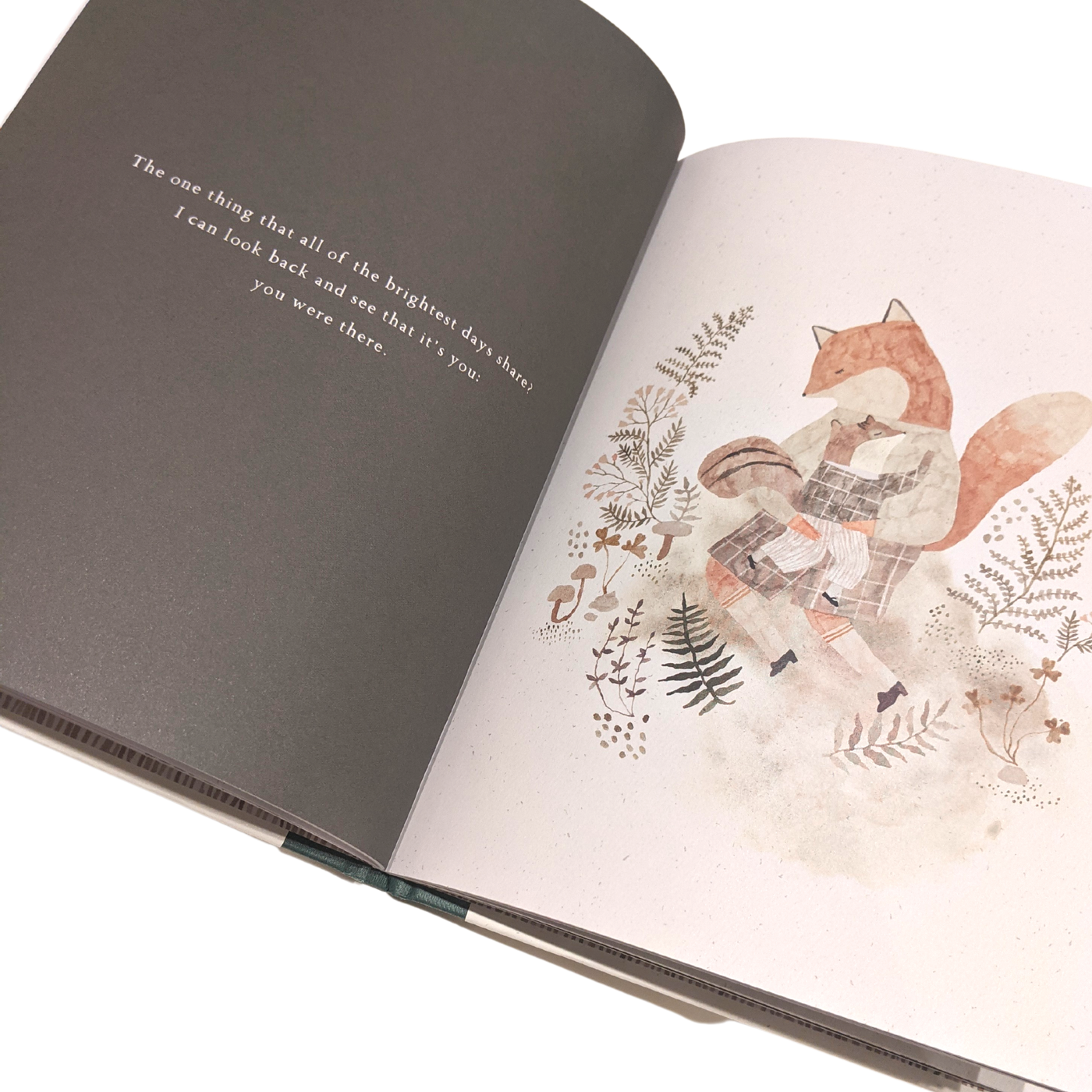 Close up of a page in More Than A Little Book of a fox cuddling a small squirrel